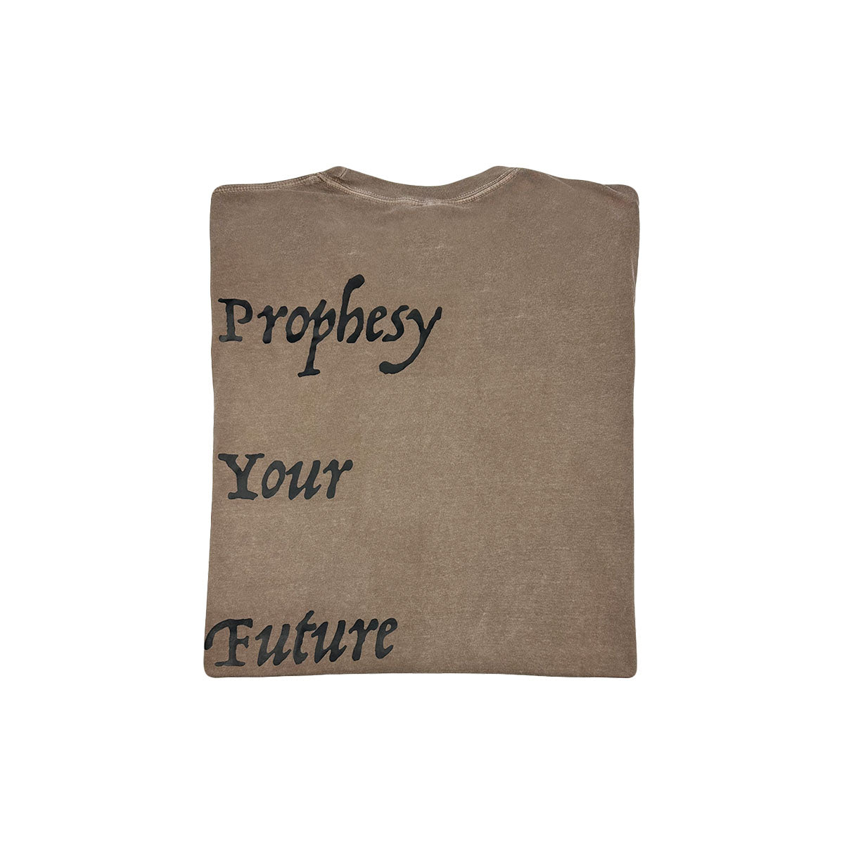 PROPHESY YOUR FUTURE LONGSLEEVE